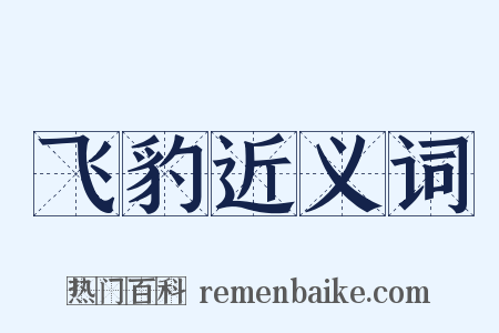 飞豹近义词是什么意思的图片